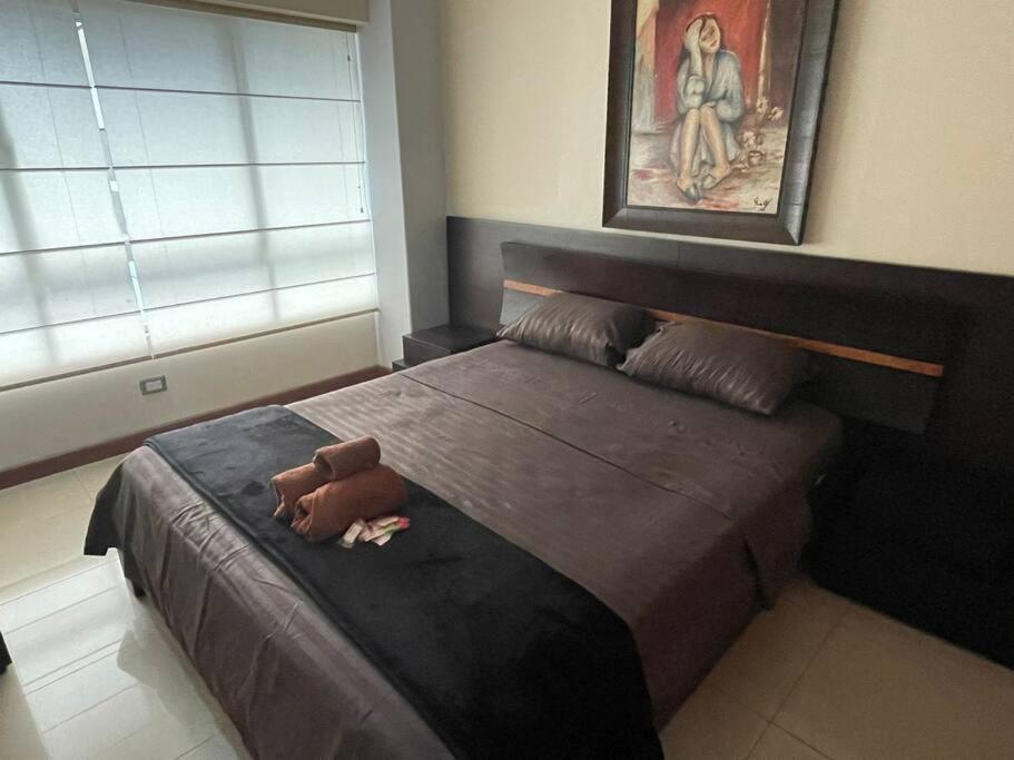 Suite 211 Κίτο Εξωτερικό φωτογραφία
